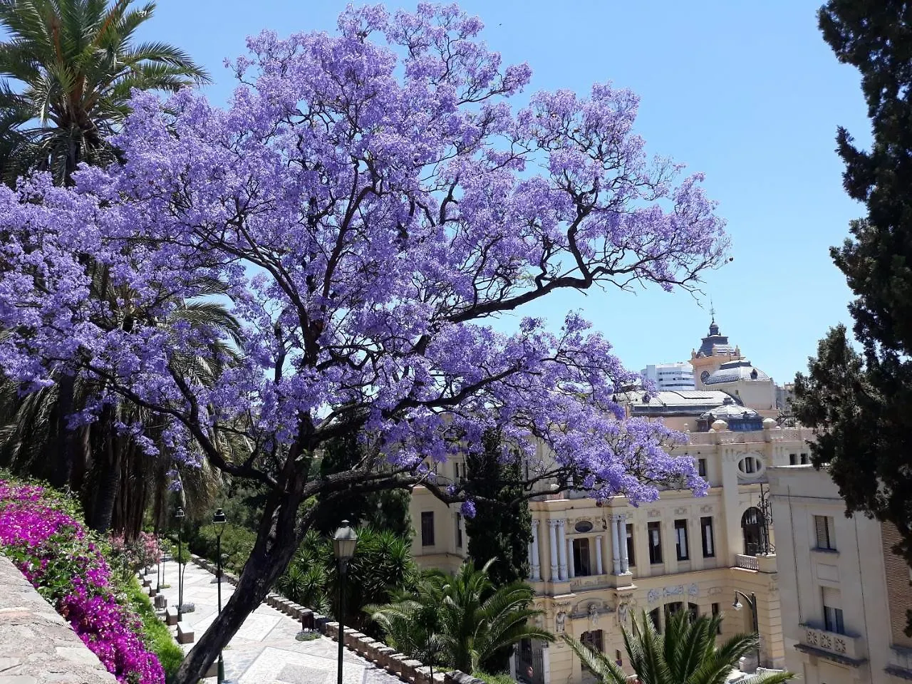 Apartment Stay Home & Away In The Heart Of Historical Town Of Malaga Spain